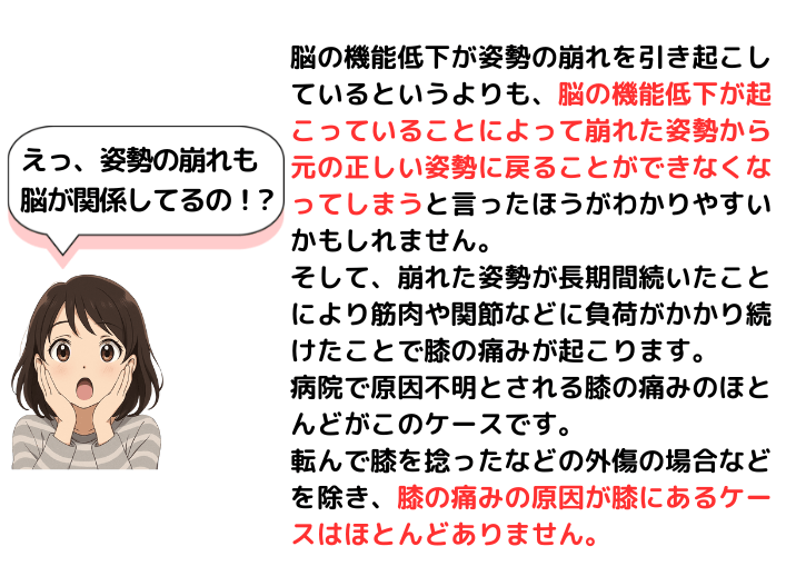 姿勢の崩れも脳の機能低下が原因
